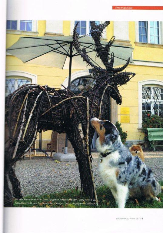turystyka-z-psem-w-powiecie-opisana-w-trzech-krajach-foto-55822