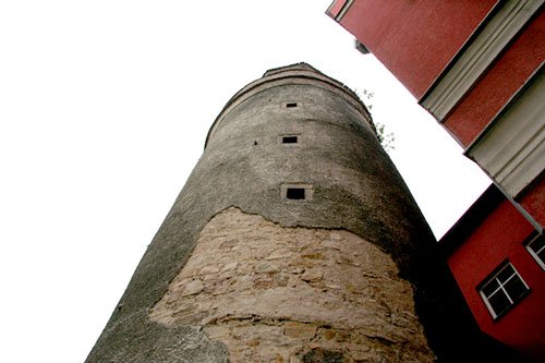 szpetna-wizytowka-5604