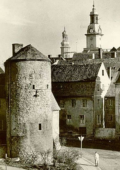 szpetna-wizytowka-5604