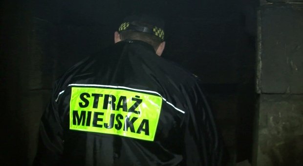 TelewizjaStrimeoTV