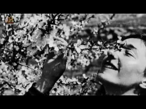 krystyna-skarbek-kobieta-ktora-kochaa-tango-ze-smiercia-56102