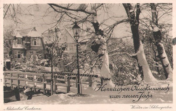 podkadali-swinie-pod-choinke-5624