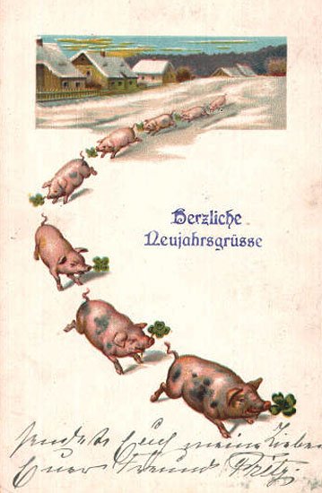 podkadali-swinie-pod-choinke-5624