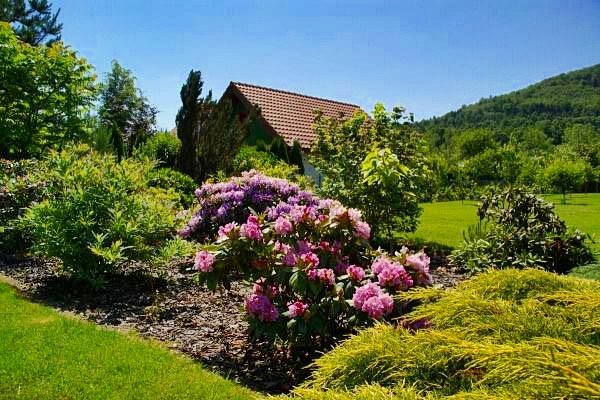 przydomowe-ogrodki-w-sobieszowie-nagrodzone-foto-56256