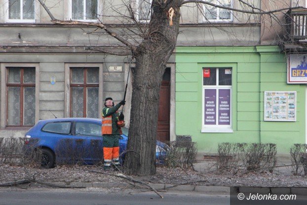 ksztatowanie-drzew-przy-wojska-polskiego-foto-56306