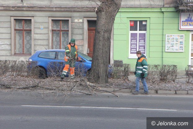 ksztatowanie-drzew-przy-wojska-polskiego-foto-56306