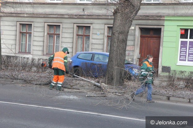 ksztatowanie-drzew-przy-wojska-polskiego-foto-56306