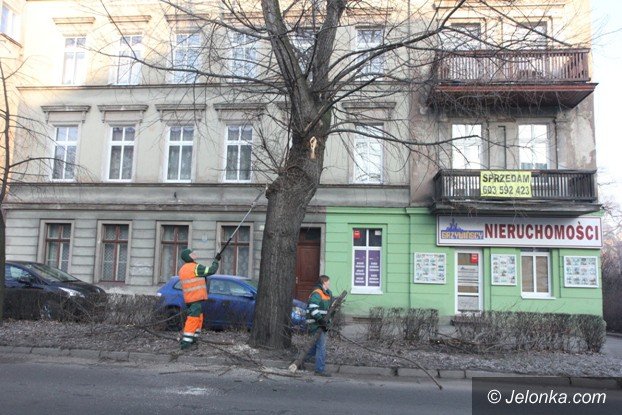 ksztatowanie-drzew-przy-wojska-polskiego-foto-56306