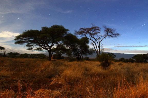 kenia-pozegnanie-z-afryka-w-cyklu-czwartkowym-foto-56309