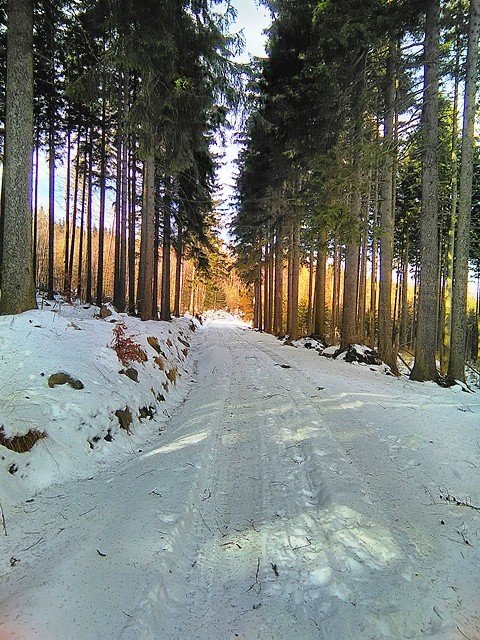 przeszli-tropem-karkonosza-foto-56466