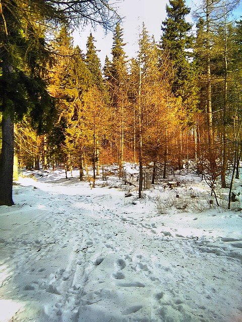 przeszli-tropem-karkonosza-foto-56466