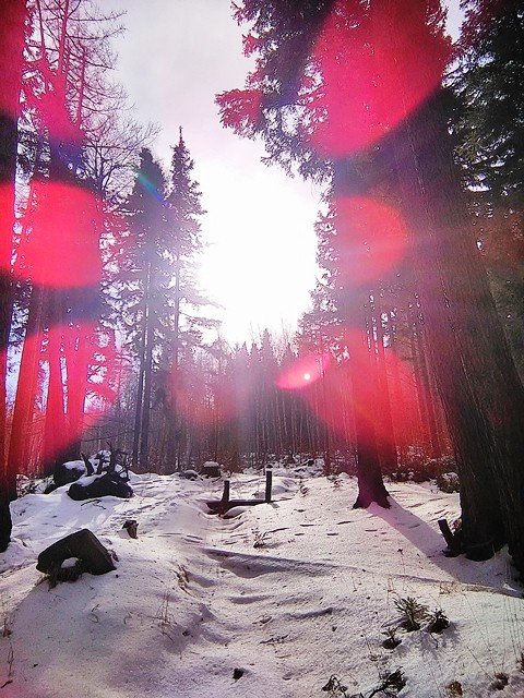 przeszli-tropem-karkonosza-foto-56466