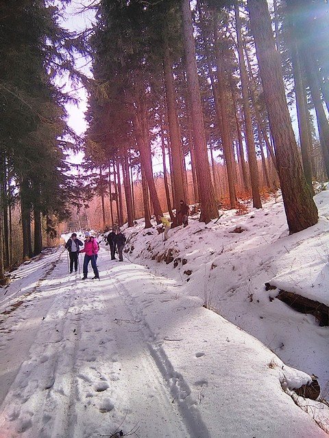 przeszli-tropem-karkonosza-foto-56466
