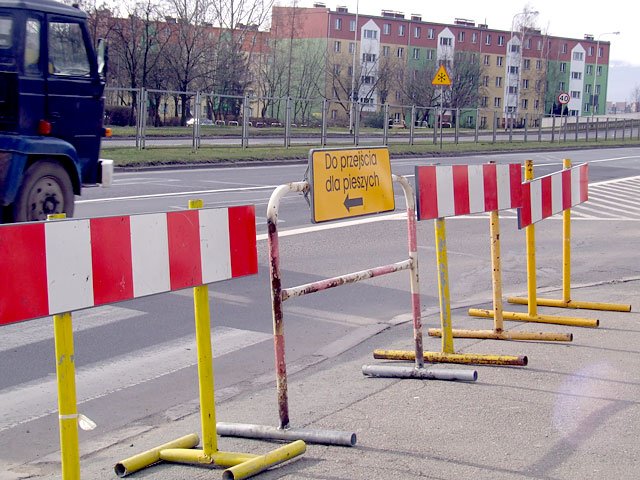 pasy-bez-ofiar-565