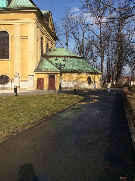 kto-pomoze-bakajacemu-sie-zwierzakowi-foto-56552