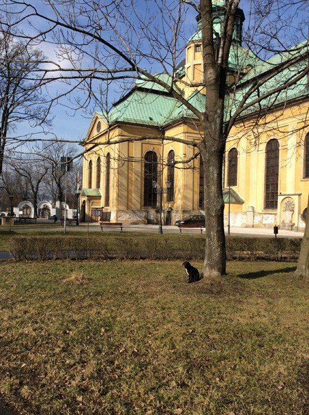 kto-pomoze-bakajacemu-sie-zwierzakowi-foto-56552