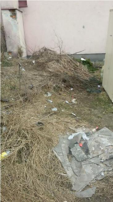 czytelnik-jak-dugo-mam-zyc-wsrod-smieci-foto-56556