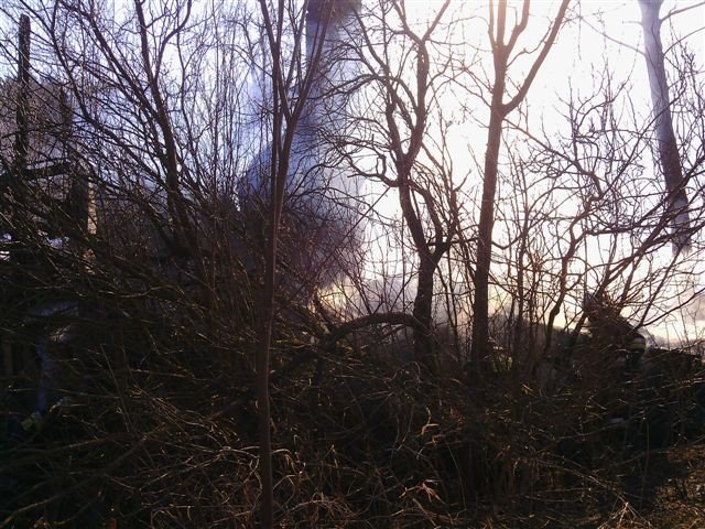 pozar-domu-w-borowicach-foto-56738