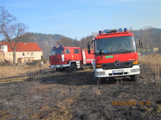 plaga-pozarow-traw-w-regionie-foto-56739