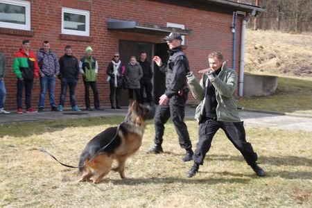 policjanci-goscili-uczniow-z-bolkowa-i-jeleniej-gory-foto-56806