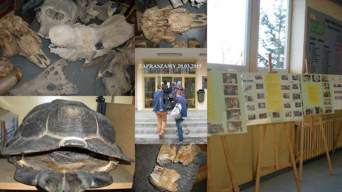 niezwyke-kosci-i-nie-tylko-w-dniu-otwartych-drzwi-56868