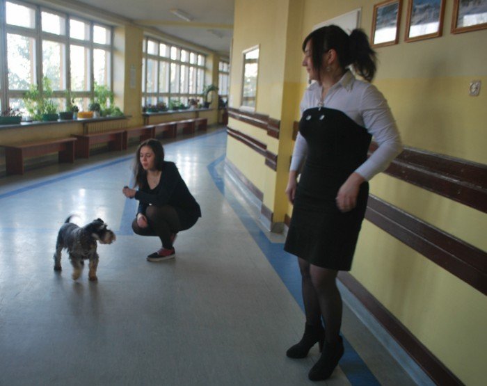 w-zespole-szko-przyrodniczousugowych-byo-co-ogladac-foto-56955