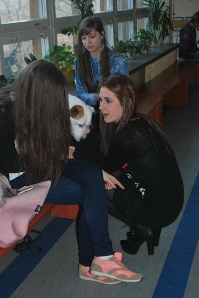 w-zespole-szko-przyrodniczousugowych-byo-co-ogladac-foto-56955