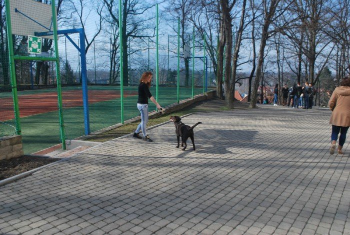w-zespole-szko-przyrodniczousugowych-byo-co-ogladac-foto-56955