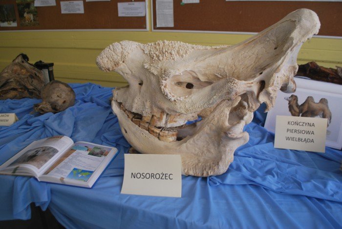 w-zespole-szko-przyrodniczousugowych-byo-co-ogladac-foto-56955