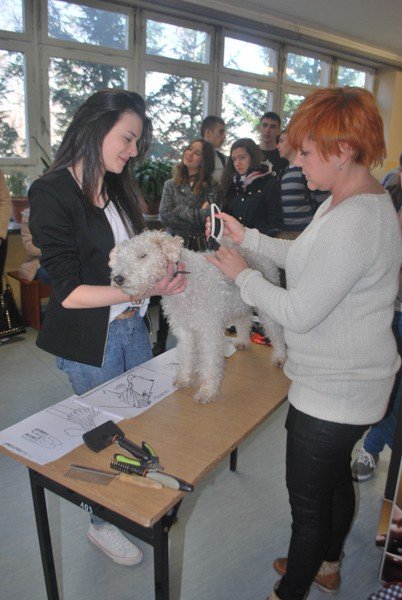 w-zespole-szko-przyrodniczousugowych-byo-co-ogladac-foto-56955