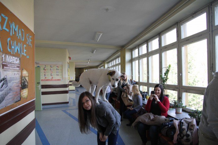 w-zespole-szko-przyrodniczousugowych-byo-co-ogladac-foto-56955