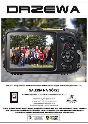 drzewa-w-galerii-na-gorze-57033