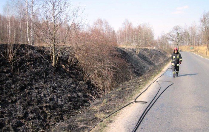 trawy-w-regionie-pona-na-potege-foto-57085