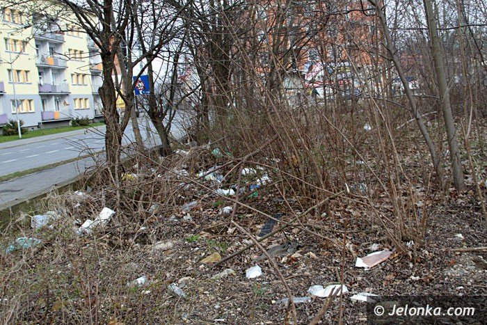 czytelnicy-skwer-jak-smietnisko-foto-57112
