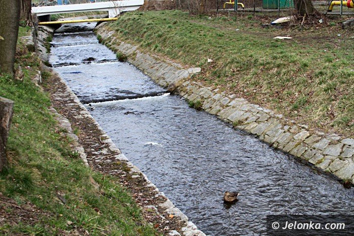 czytelnicy-skwer-jak-smietnisko-foto-57112