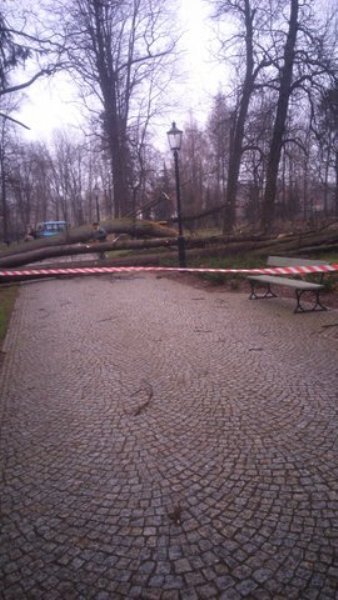 wiatr-powali-kolejne-drzewa-w-zdrojowym-park-jest-zamkniety-fotoaktualizacja-57146