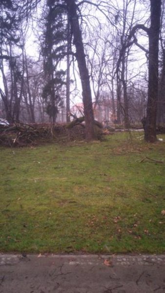 wiatr-powali-kolejne-drzewa-w-zdrojowym-park-jest-zamkniety-fotoaktualizacja-57146
