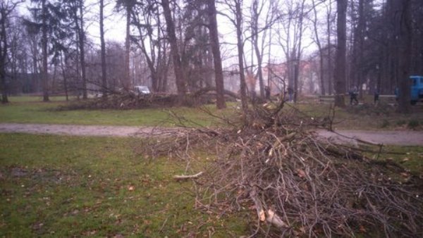 wiatr-powali-kolejne-drzewa-w-zdrojowym-park-jest-zamkniety-fotoaktualizacja-57146
