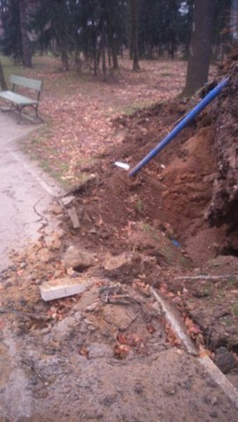 wiatr-powali-kolejne-drzewa-w-zdrojowym-park-jest-zamkniety-fotoaktualizacja-57146