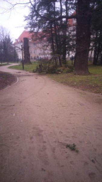 wiatr-powali-kolejne-drzewa-w-zdrojowym-park-jest-zamkniety-fotoaktualizacja-57146