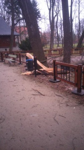 wiatr-powali-kolejne-drzewa-w-zdrojowym-park-jest-zamkniety-fotoaktualizacja-57146