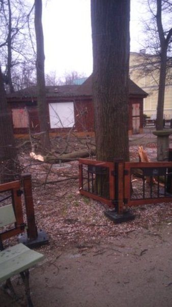 wiatr-powali-kolejne-drzewa-w-zdrojowym-park-jest-zamkniety-fotoaktualizacja-57146