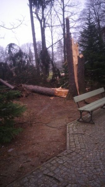 wiatr-powali-kolejne-drzewa-w-zdrojowym-park-jest-zamkniety-fotoaktualizacja-57146