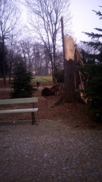 wiatr-powali-kolejne-drzewa-w-zdrojowym-park-jest-zamkniety-fotoaktualizacja-57146