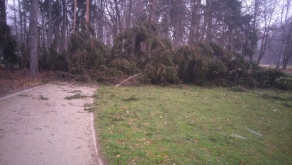wiatr-powali-kolejne-drzewa-w-zdrojowym-park-jest-zamkniety-fotoaktualizacja-57146