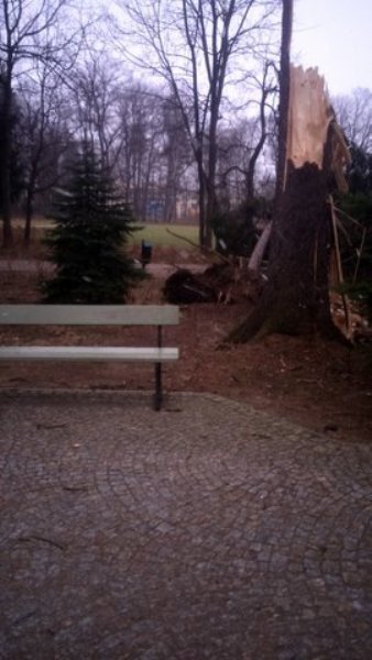 wiatr-powali-kolejne-drzewa-w-zdrojowym-park-jest-zamkniety-fotoaktualizacja-57146