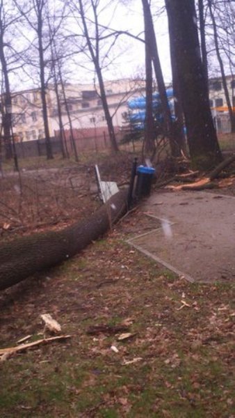 wiatr-powali-kolejne-drzewa-w-zdrojowym-park-jest-zamkniety-fotoaktualizacja-57146