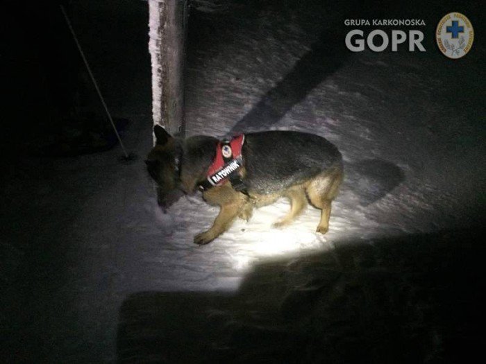 goprowcy-atwo-nie-byo-ale-szczesciem-bez-ofiar-foto-57162