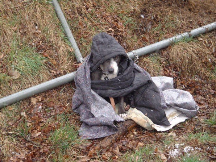wypadek-w-siedlecinie-trojka-dzieci-w-szpitalu-aktualizacja-foto-57166
