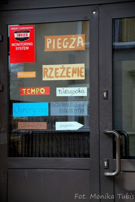 licealisci-norwida-uczyli-gimnazjalistow-ortografii-foto-57181